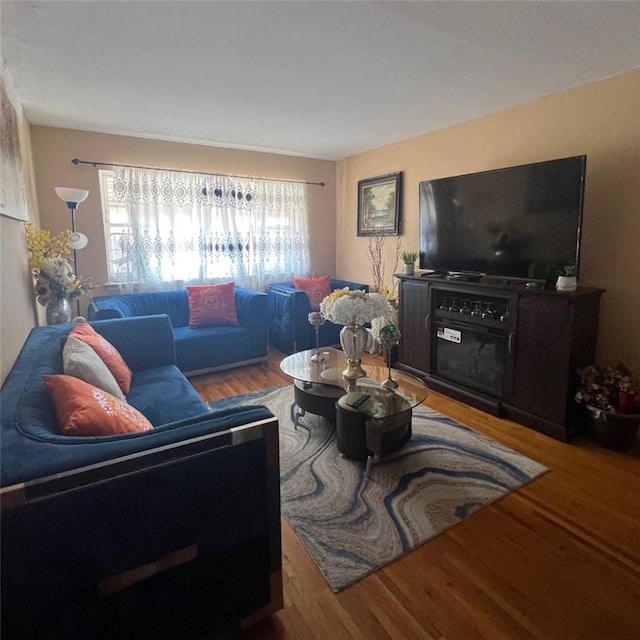 living room with wood-type flooring