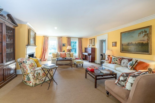 20 Smithfield Way, Amenia, NY 12501 - living area featuring ornamental molding, a fireplace, and carpet floors