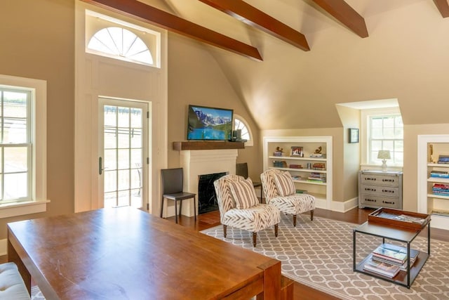 20 Smithfield Way, Amenia, NY 12501 - living area with a fireplace, built in features, healthy amount of natural light, and dark wood-type flooring