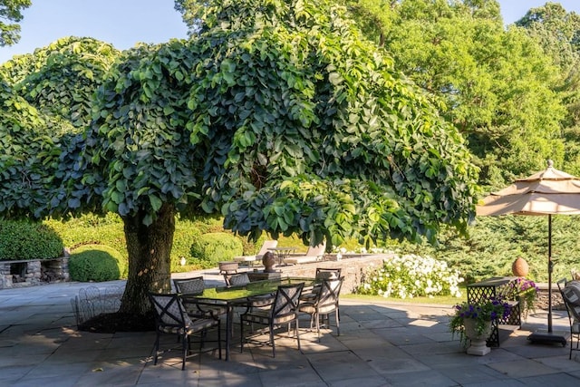 20 Smithfield Way, Amenia, NY 12501 - view of patio featuring outdoor dining area