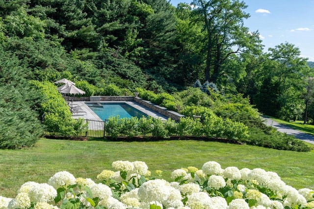20 Smithfield Way, Amenia, NY 12501 - swimming pool featuring a lawn and a forest view