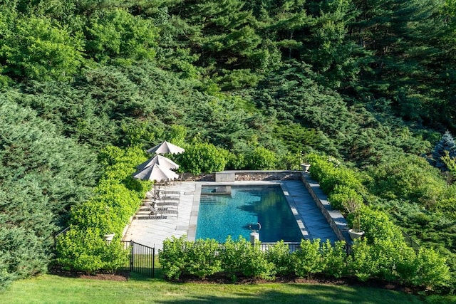 20 Smithfield Way, Amenia, NY 12501 - view of swimming pool with a view of trees and a patio area