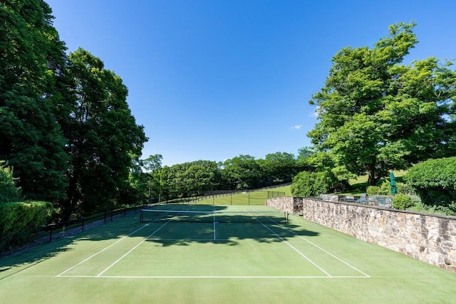 20 Smithfield Way, Amenia, NY 12501 - view of tennis court