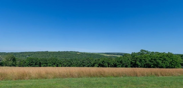 20 Smithfield Way, Amenia, NY 12501 - view of mountain background with a heavily wooded area and rural landscape
