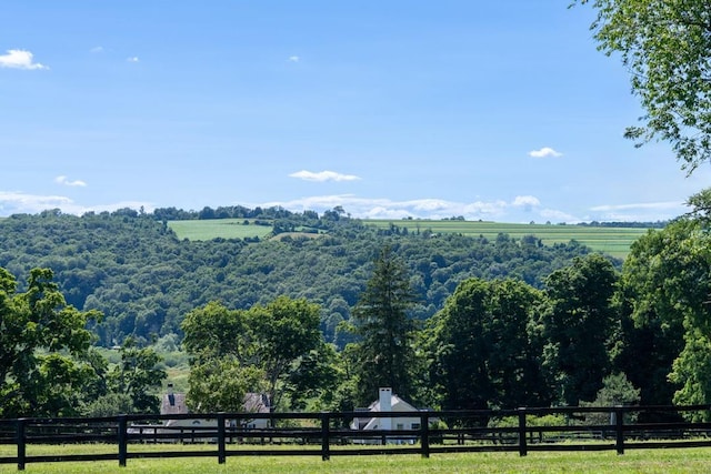 20 Smithfield Way, Amenia, NY 12501 - view of mountain background featuring rural landscape