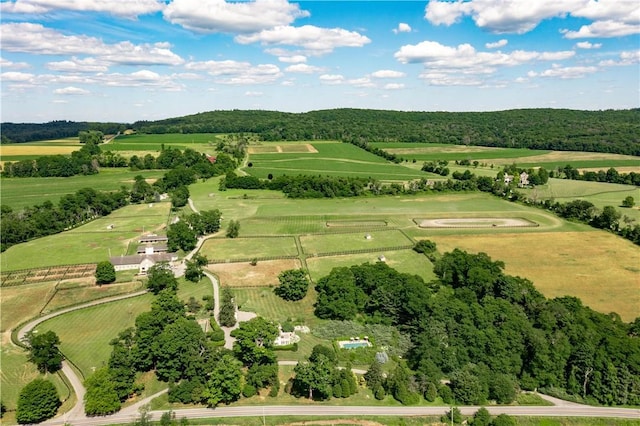20 Smithfield Way, Amenia, NY 12501 - aerial view of property and surrounding area featuring rural landscape and large plots for crops