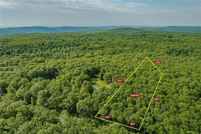 Budd Rd, Wurtsboro NY, 12790 land for sale