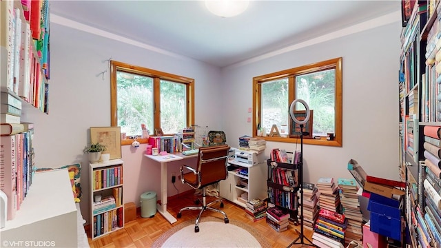 office featuring a wealth of natural light and light parquet flooring