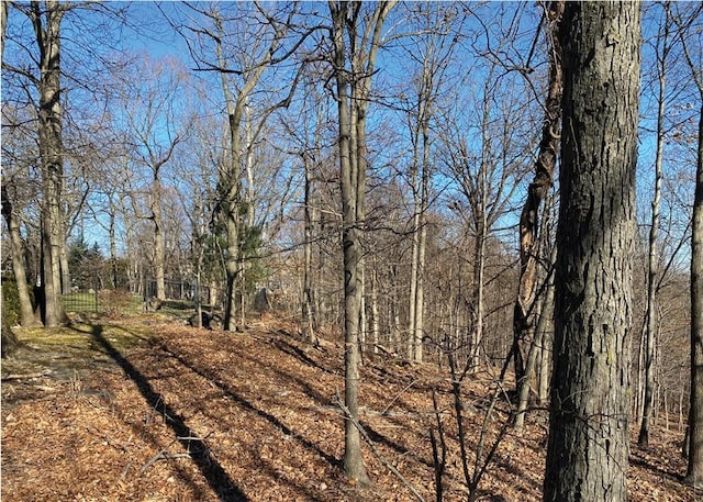 0 Cyrus Field Rd, Irvington, NY 10533
