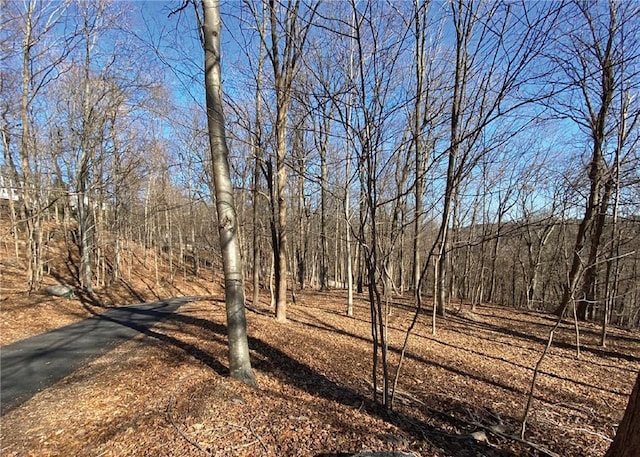 0 Cyrus Field Rd, Irvington, NY 10533