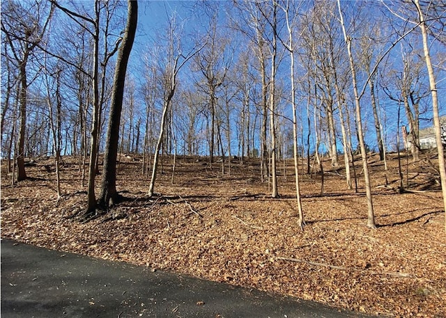 0 Cyrus Field Rd, Irvington, NY 10533