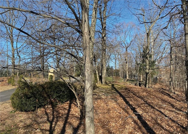 0 Cyrus Field Rd, Irvington, NY 10533
