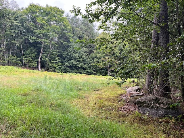 34 Black Bear Xing, Claryville NY, 12725 land for sale