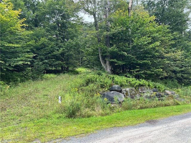 34 Black Bear Xing, Claryville, NY 12725 - photo 3