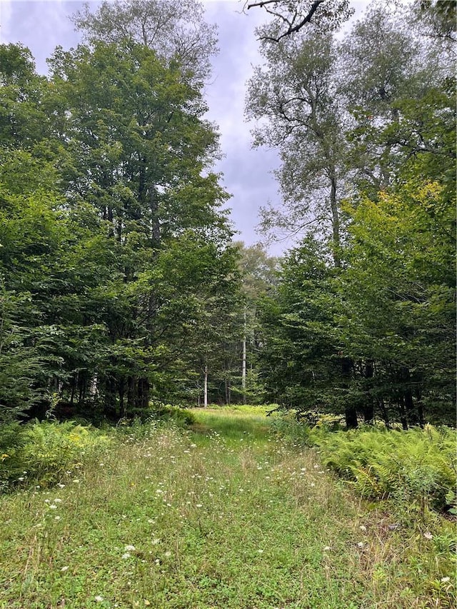 34 Black Bear Xing, Claryville, NY 12725 - photo 5
