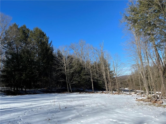 34 Black Bear Xing, Claryville, NY 12725 - photo 7