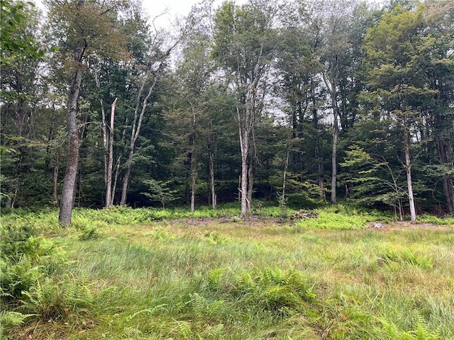 34 Black Bear Xing, Claryville, NY 12725 - photo 11