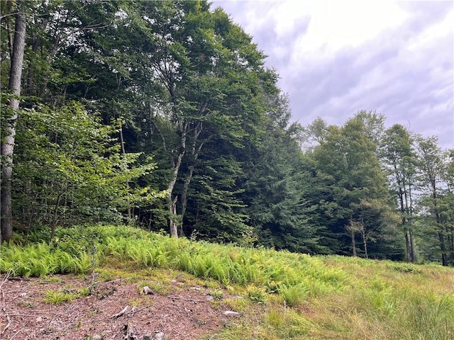 34 Black Bear Xing, Claryville, NY 12725 - photo 12
