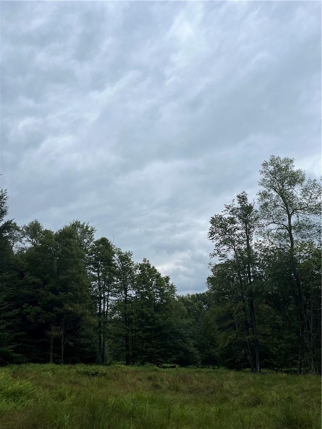 34 Black Bear Xing, Claryville, NY 12725 - photo 13