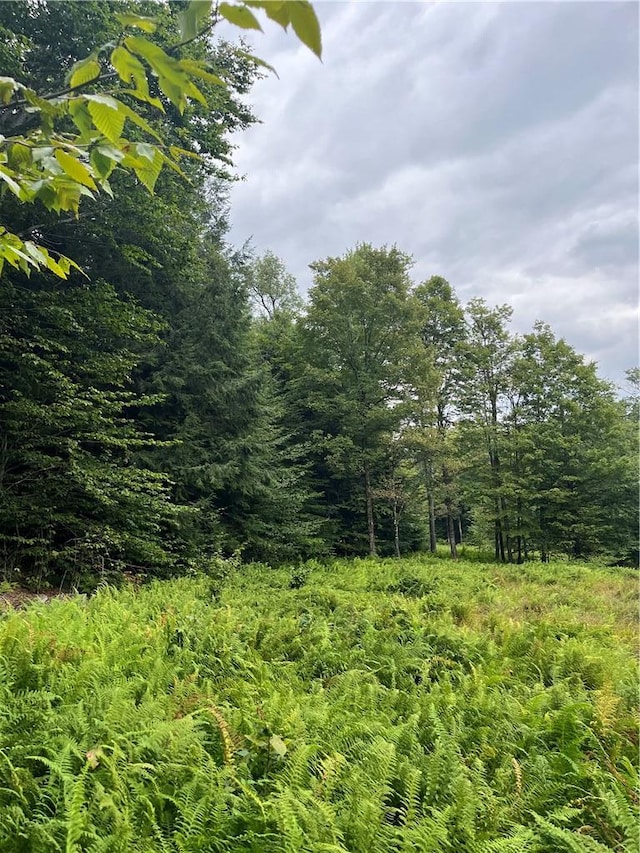 34 Black Bear Xing, Claryville, NY 12725 - photo 14