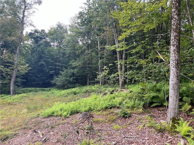 34 Black Bear Xing, Claryville, NY 12725 - photo 15