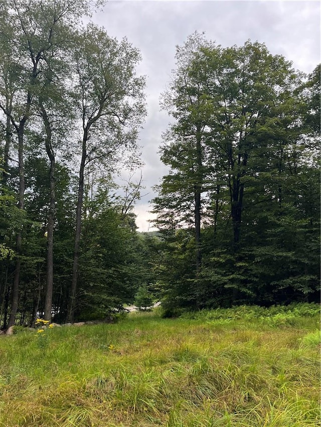 34 Black Bear Xing, Claryville, NY 12725 - photo 16