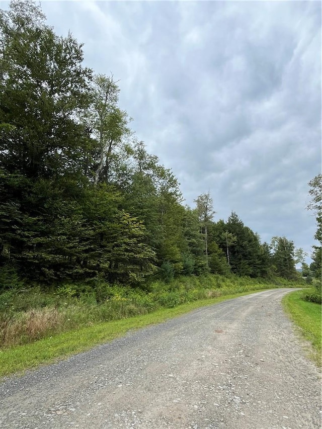 34 Black Bear Xing, Claryville, NY 12725 - photo 18