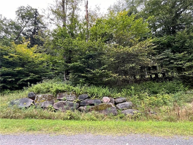 34 Black Bear Xing, Claryville, NY 12725 - photo 19