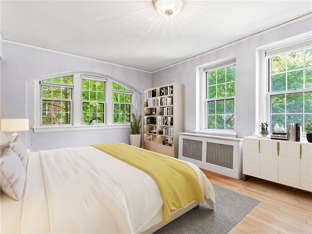 bedroom featuring radiator and light hardwood / wood-style floors