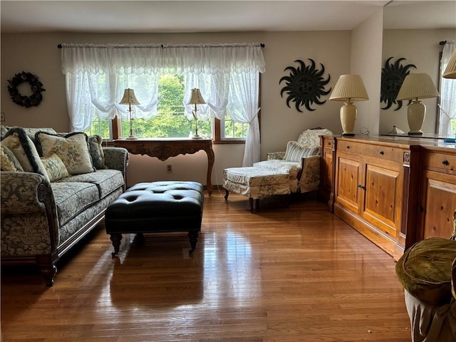 437 Lindholm Rd, Fallsburg, NY 12747 - living room featuring light wood-style floors