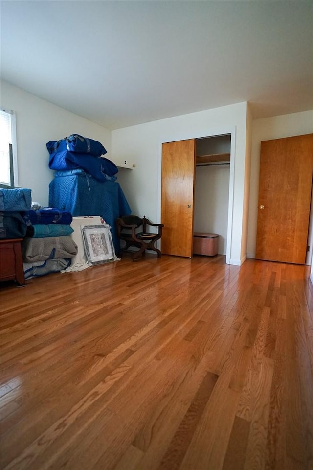 437 Lindholm Rd, Fallsburg, NY 12747 - bedroom featuring wood finished floors and a closet