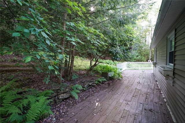 437 Lindholm Rd, Fallsburg, NY 12747 - view of wooden deck