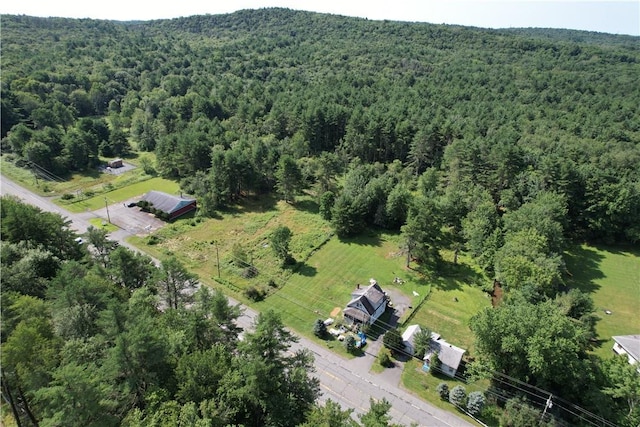 269 State Route 17b, Monticello, NY 12701 - photo 16