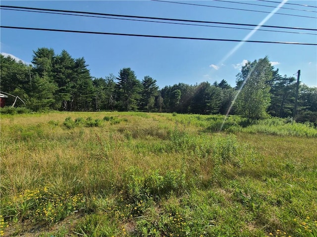 275-277 State Route 17b, Monticello, NY 12701 - view of landscape with a view of trees