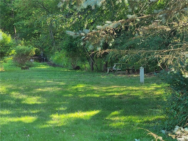 275-277 State Route 17b, Monticello, NY 12701 - view of yard