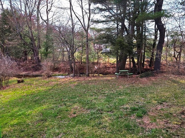 275-277 State Route 17b, Monticello, NY 12701 - view of yard