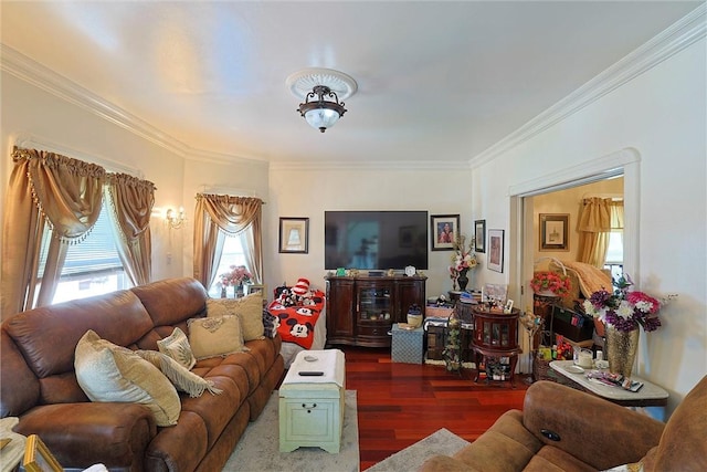 living room featuring dark hardwood / wood-style floors and ornamental molding