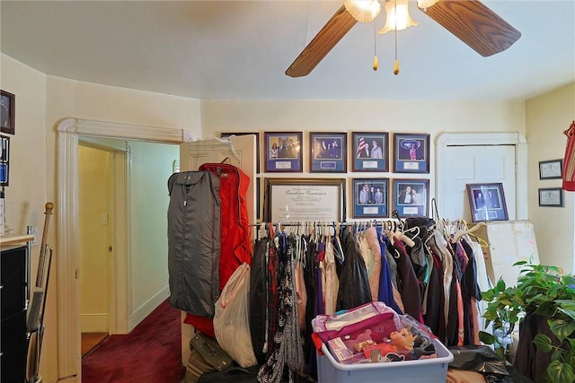 view of spacious closet