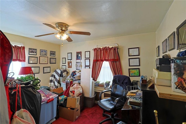 carpeted home office with plenty of natural light, ceiling fan, and a textured ceiling