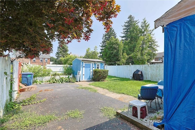 view of yard with a storage unit