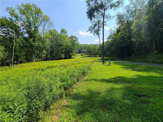 LOT18 Andie Ln, Bethel NY, 12720 land for sale