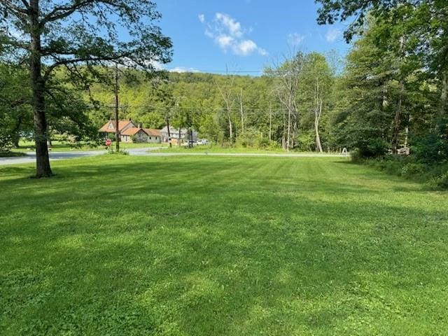 Listing photo 3 for Roosa Gap Rd, Bloomingburg NY 12721