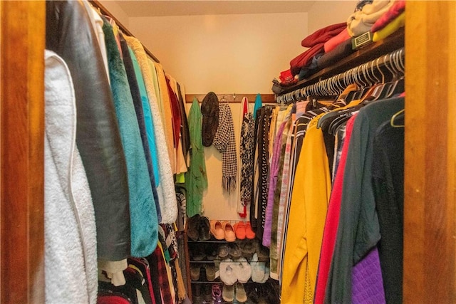 view of walk in closet