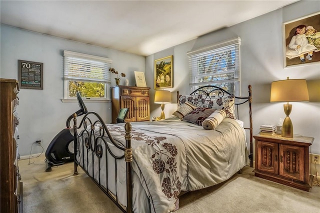 bedroom with carpet floors and multiple windows