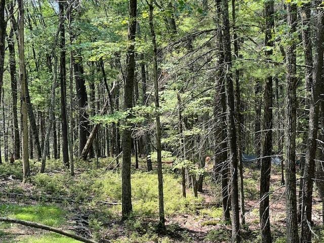 LOT18 Hunczak Blvd, Glen Spey NY, 12737 land for sale