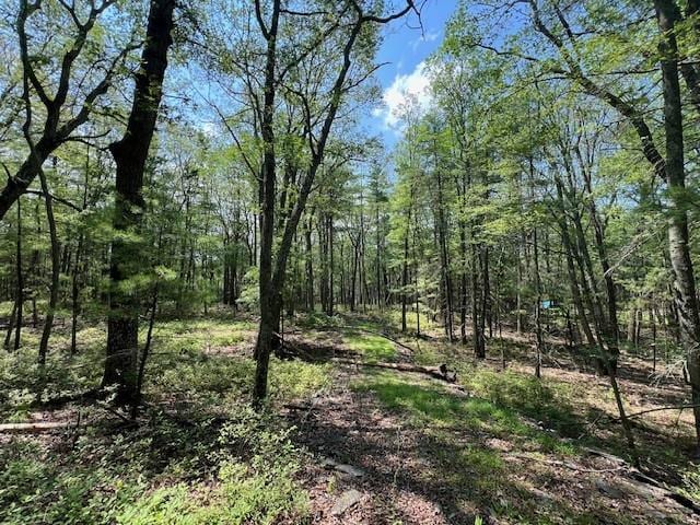 Listing photo 3 for LOT18 Hunczak Blvd, Glen Spey NY 12737