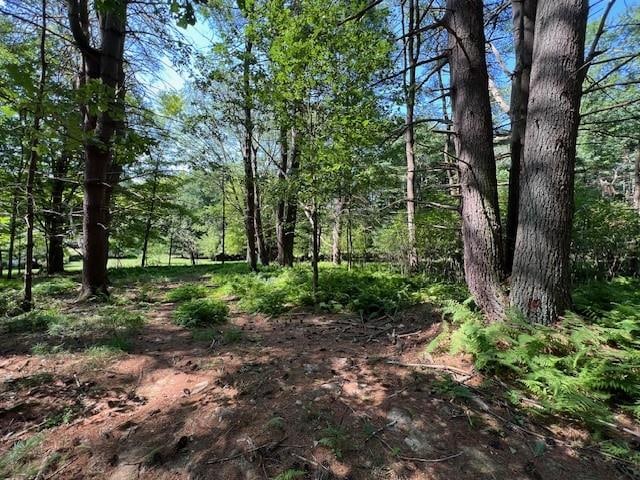 LOT47.3 High Rd, Glen Spey NY, 12737 land for sale