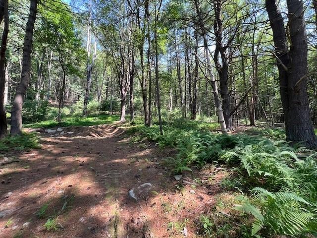 LOT47.3 High Rd, Glen Spey, NY 12737 - photo 3