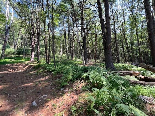 LOT47.3 High Rd, Glen Spey, NY 12737 - photo 4