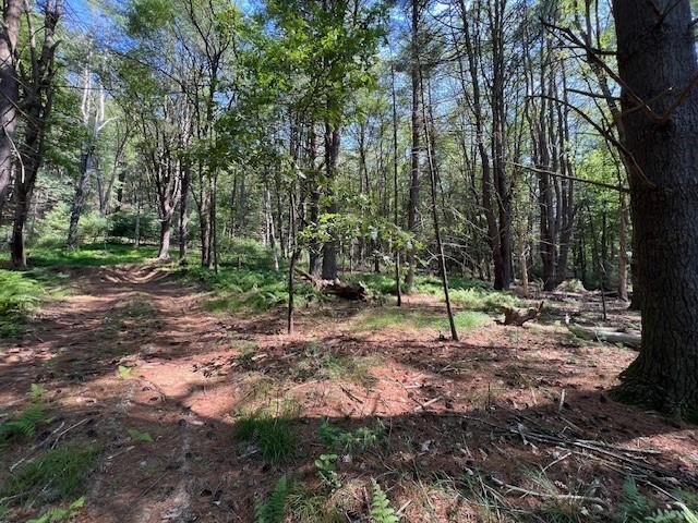 LOT47.3 High Rd, Glen Spey, NY 12737 - photo 6